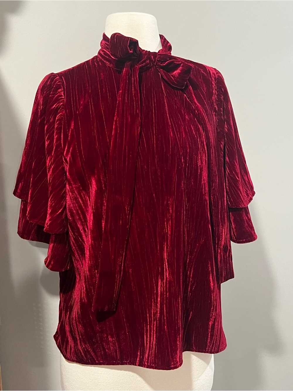 Alden Adair Velvet Bow Tie Blouse